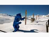 l'ours bleu de Richard Orlinski